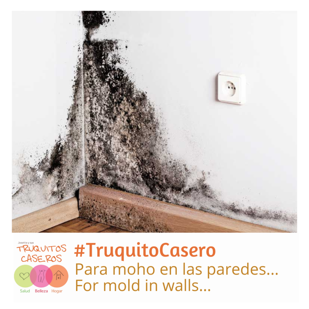 Truquito Casero para el moho en las paredes...